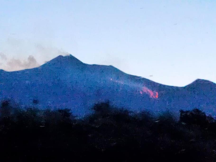 Loft Sotto Il Vulcano, Con Posto Auto Privato Zafferana Etnea Eksteriør bilde