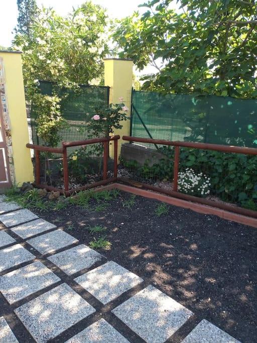 Loft Sotto Il Vulcano, Con Posto Auto Privato Zafferana Etnea Eksteriør bilde
